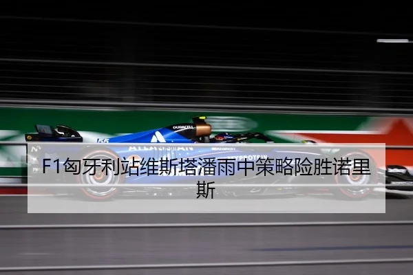 F1匈牙利站维斯塔潘雨中策略险胜诺里斯