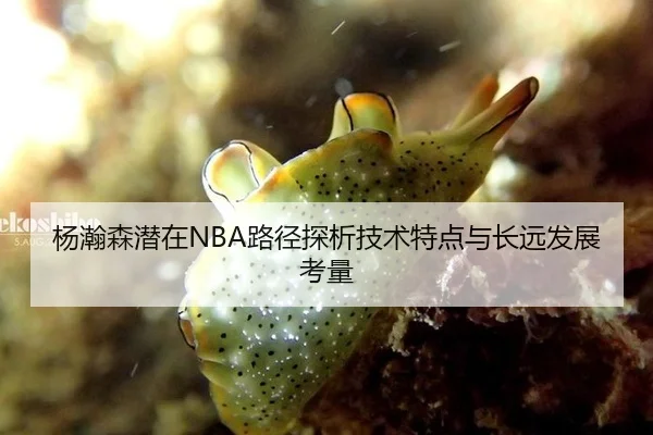 杨瀚森潜在NBA路径探析技术特点与长远发展考量