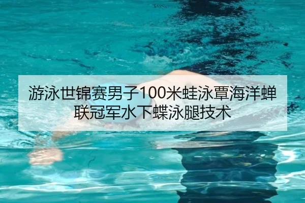 游泳世锦赛男子100米蛙泳覃海洋蝉联冠军水下蝶泳腿技术